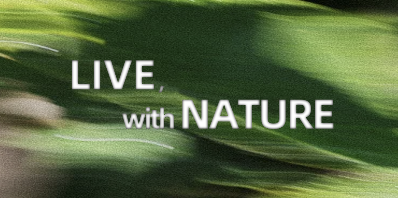 LIVE, with NATURE |「自然而然」特别策划活动上线